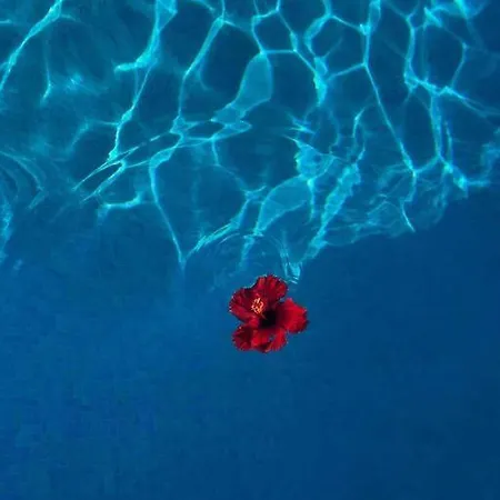 Ground With Master Bedroom And Twin Bedroom Lägenhet *